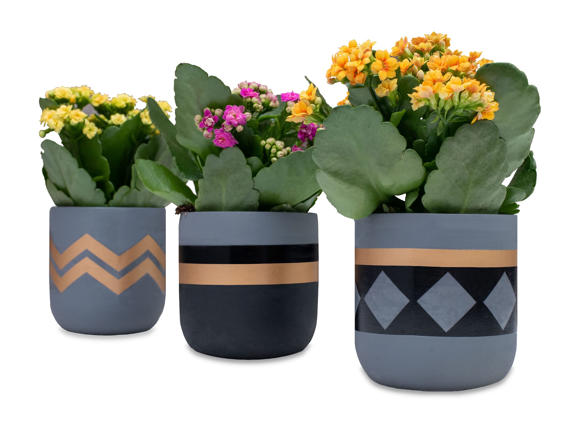 Tydi 3x Plant Pots - 10x10.5cm Small Succulent & Cactus Plants Indoor & Outdoor Use - Ceramic Pots with Handcrafted Designs