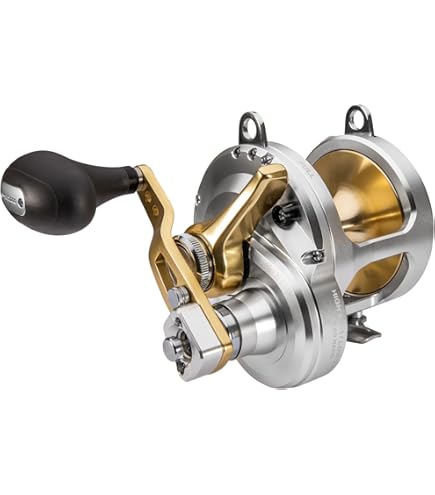 Amazon.com : Rapala TALICA 20II : Fishing Reels : Sports & Outdoors