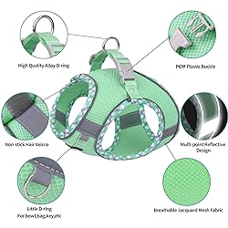 AIITLE No Pull Dog Vest Harness, All Weather