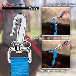 Country Brook Petz - Deluxe Nylon Dog Leash with