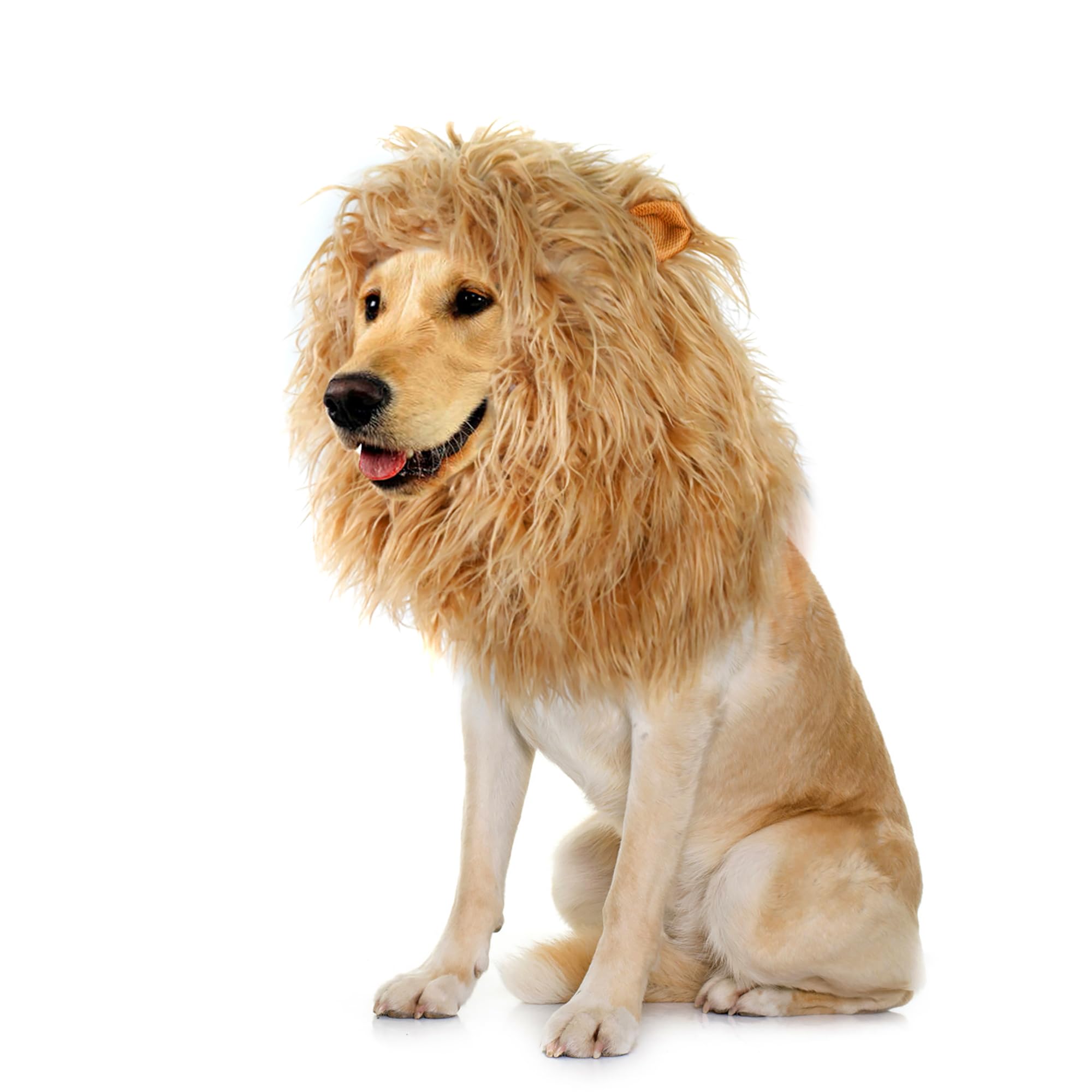 Photo 1 of Onmygogo Lion Mane Wig for Dogs with Ears, Funny Pet Costumes for Halloween Christmas (Size M, Yellow)