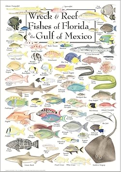 pix Golf Von Mexiko Tiere earth sky wasser poster wrack reef fische mit florida und die golf von mexiko