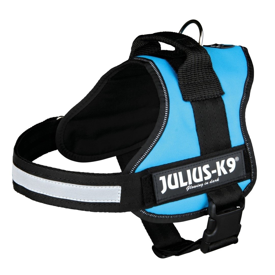 JULIUS-K9Powerharness, Size: 2XL/3, Aquamarine — image 1