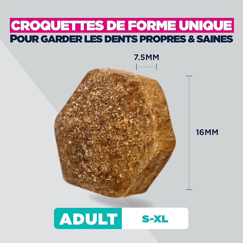 Sensitive Joints Aliment pour Chiens au Poulet - Aliment Sec Special Care pour Chiens aux articulations sensibles, favorisant la mobilité, 2,3 kg