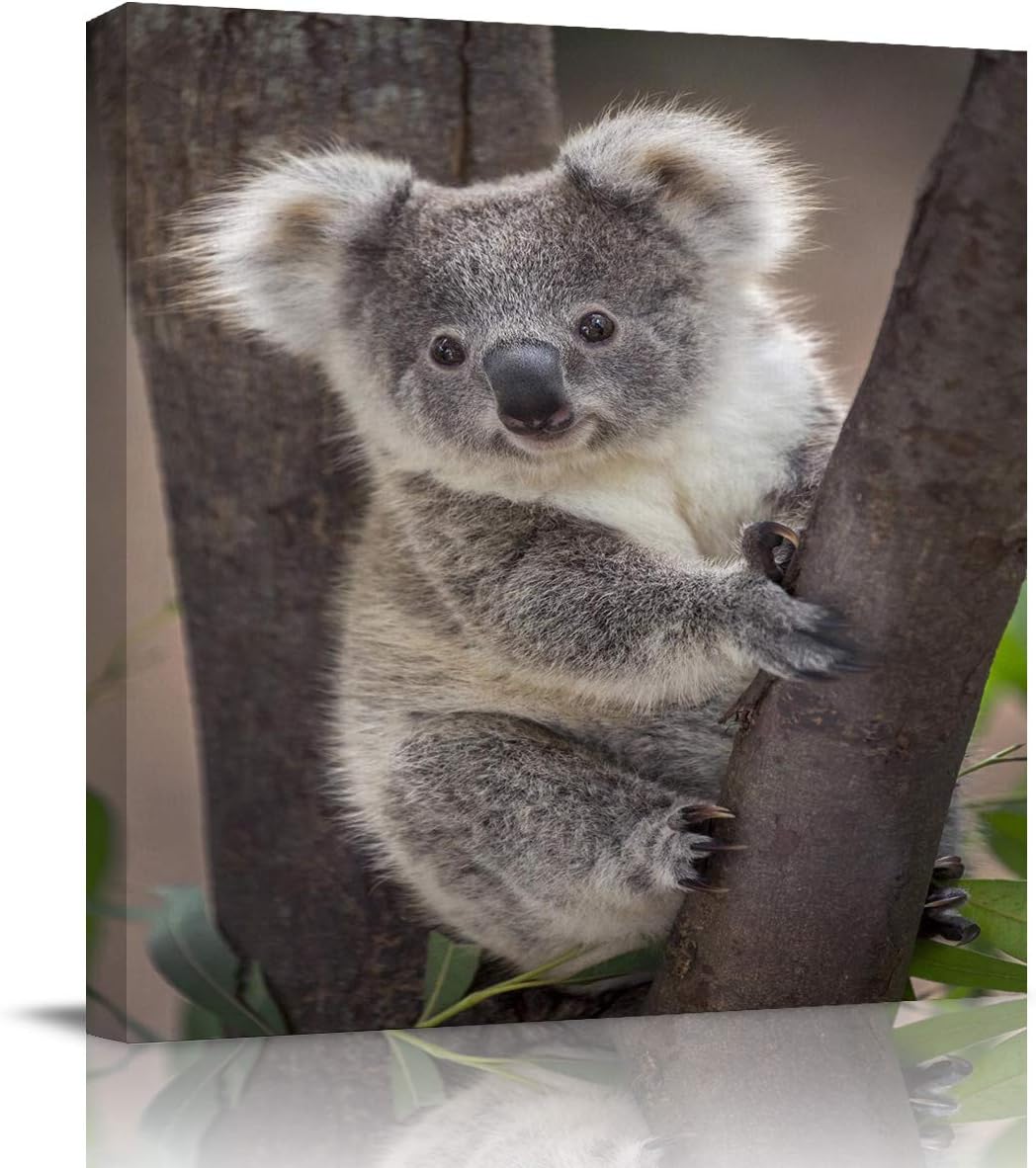 Paintings - Wall Art Canvas Prints Home Decor Cute Koala Bear Baby Abstract Oil Paintings Modern Artwork for Bathroom Bed/Living Room Decorations, Australia Animal 16x16in