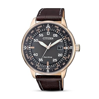 Citizen Men's Eco-Drive Watch with Leather Strap Ghana Ubuy