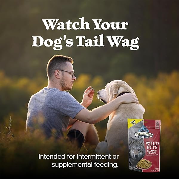BLUE BUFFALO WILDERNESS TRAIL TREATS WILD BITS TRAINING TREATS FOR DOGS, GRAIN-FREE DOG TREATS, SALMON RECIPE, 10-OZ. BAG