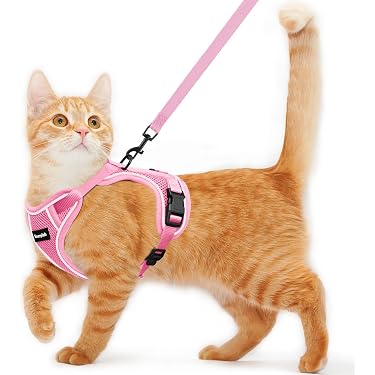 Amazon Best Sellers: Best Cat Leashes