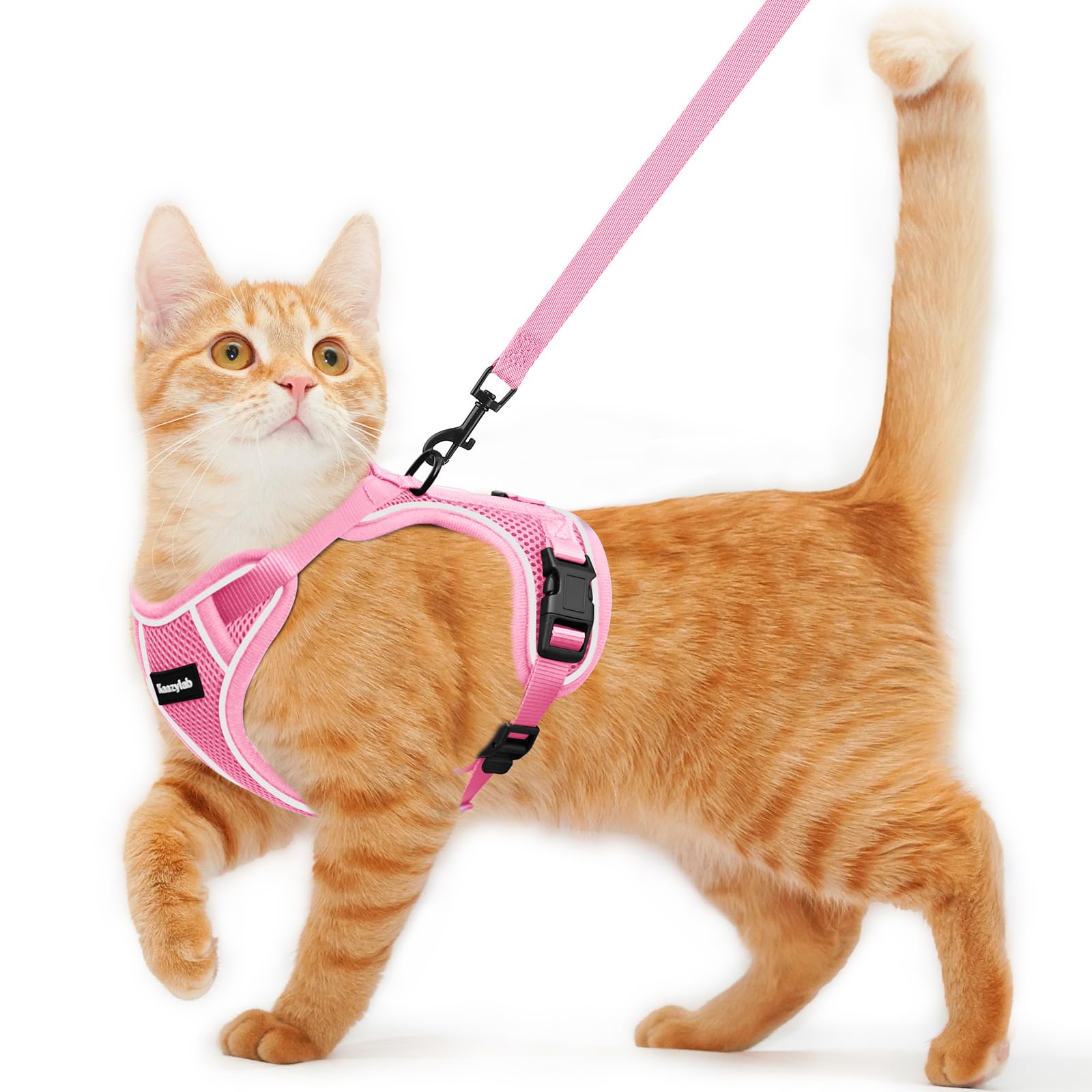 Photo 1 of Cat Harness and Leash for Walking Escape Proof Soft Adjustable Cat Leash Breathable Comfortable Vest Easy to Wear Kitten Harness for Outdoor Travel Pink S