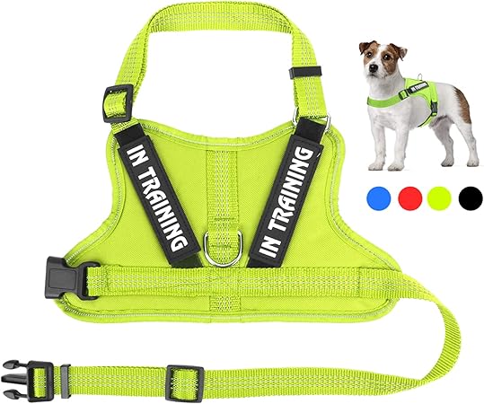 amazon service animal vest