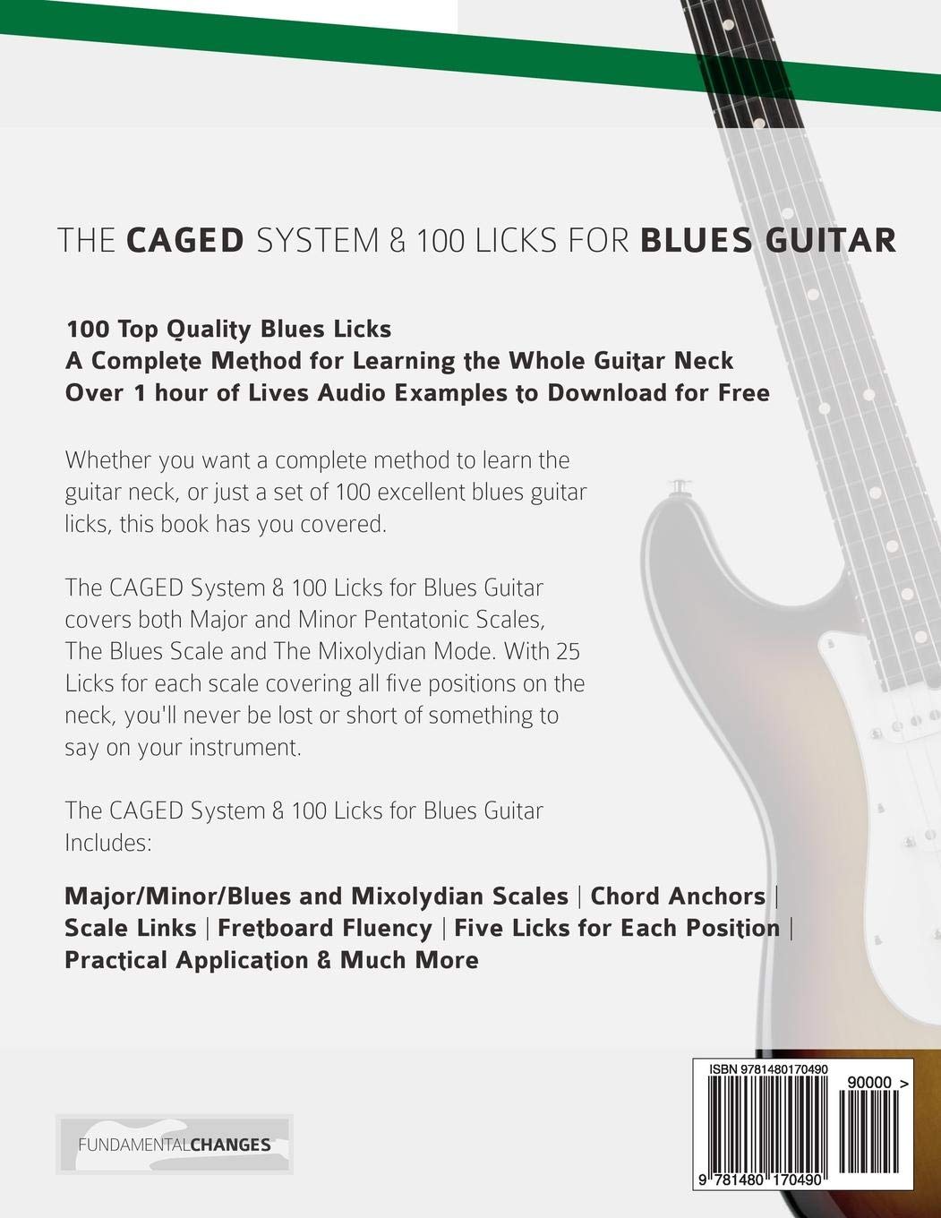 The Caged System And 100 Licks For Blues Guitar Learn To Play The
