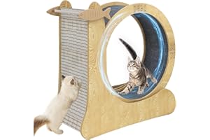 HROKZ Cat Exercise Wheel Indoor with Low Noise & Install Video, 40 inch Snail-Shape Cat Running Wheel Exerciser for Indoor Cats, Scratcher & Storage Heavy Cat Treadmill with Non-Slip Carpet