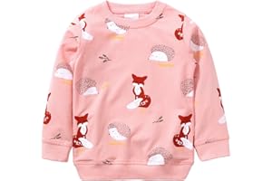 Hongshilian Unisex Kids Cute Cartoon Cotton Sweater Shirt