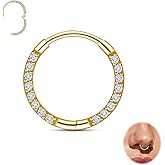 limerencia Titanium Nose Ring Hoop,20G Titanium Cubic Zirconia Nose Ring,Cartilage Hoop Earring Septum Ring Tragus Conch Helix Daith Lip Piercing Jewelry for Women Men