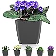 Self Watering Planters for Indoor Plants : 5 inch 6 Pack Grey Planter with Water Level Indicator African Violet Self Watering Flower Pot for Herb Pot House Plant Planting