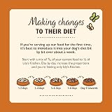Lily's Kitchen Natural Adult Wet Dog Food Tin Sunday Lunch 6 x 400g Grain-Free view 6