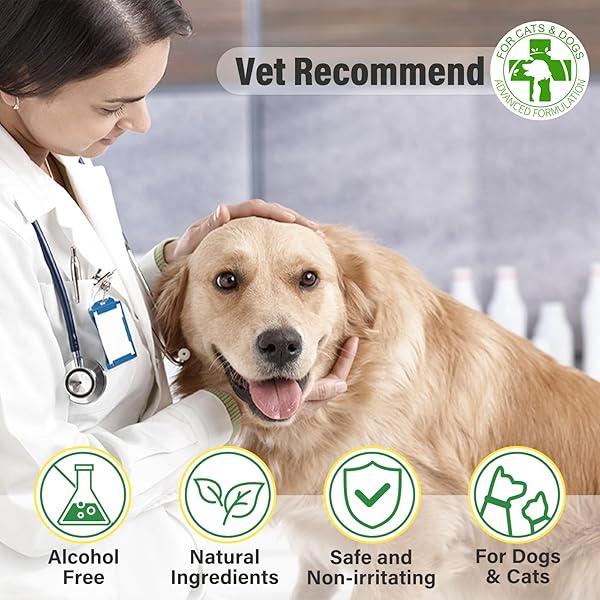 GJYC PET EAR WIPES FOR DOGS AND CATS, RELIEVE EAR ITCHING AND INFLAMMATION WITH ALOE, REMOVE EAR WAX AND DEBRIS, SOOTHING AND DEODORIZING, NATURAL INGREDIENTS, CONVENIENT AND PORTABLE