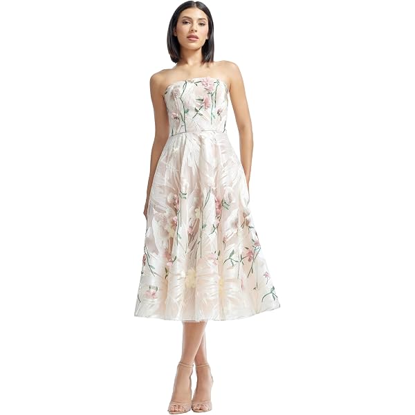 Amazon.com: Dress the Population Women's Audrina Beaded Pansy Applique On  Tulle, Maxi, Fit and Flare, Sweetheart Neck Dress, Mauve Multi, XX-Small :  Clothing, Shoes & Jewelry