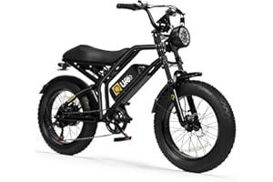 Qlife Electric Bike for Adults-1500W Peak Motor 20" Fat Tires 28MPH(Unlock to 35MPH) EBike Moped, 624-1248Wh Removable Battery Bicycle, with Dual Suspension & Brakes Motorcycle, 7-Speed,Spark