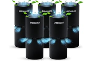 LAB CHARGE LabCharge Small Ionic Air Purifier for Home & Bedroom – Silent HEPA Filter – Covers 250 Sq Ft - Free Cleaner for Pets, Hair, Smoke, Dust, Odors & Dander – Compact & Black Design - Pack of 5