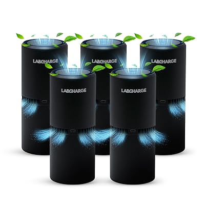LabCharge Small Ionic Air Purifier for Home & Bedroom – Silent HEPA Filter – Covers 250 Sq Ft - Free Cleaner for Pets, Hair, Smoke, Dust, Odors & Dander – Compact & Black Design - Pack of 5