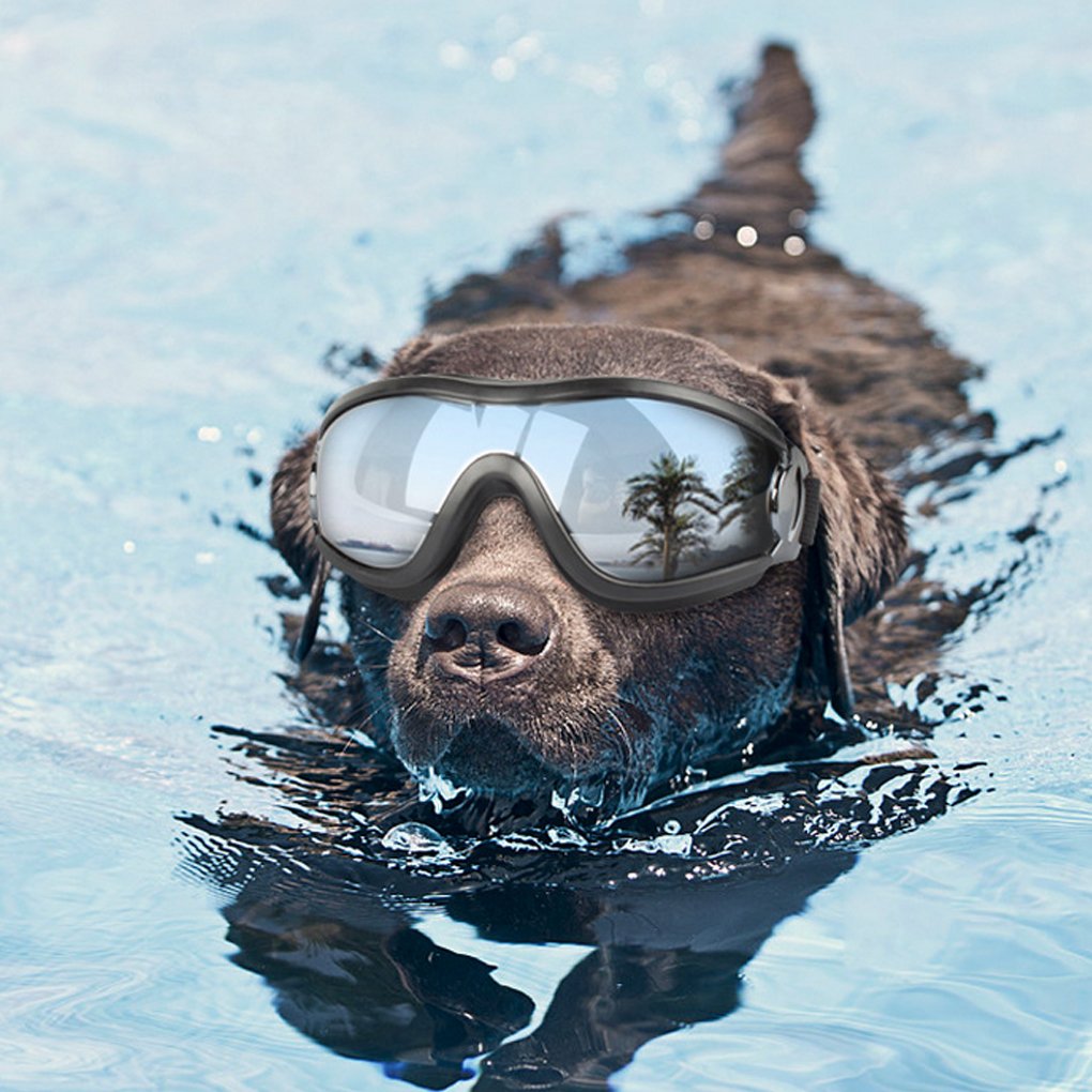 Luckiests Haustier-Hundeschutzbrille-UVSonnenbrille Hund Welpen