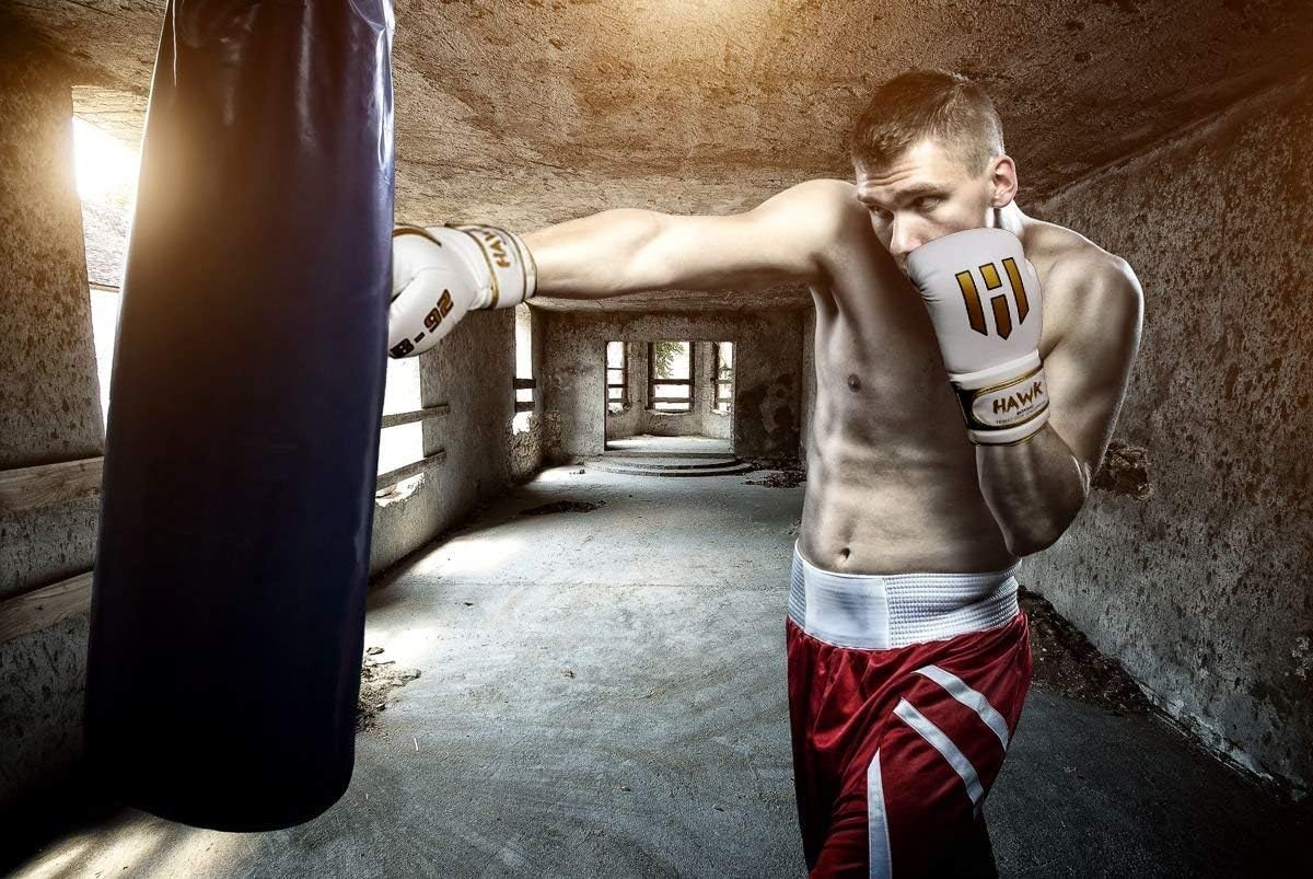 Hawk Boxing Gloves for Men & Women Training Pro Punching Heavy Bag Mitts MMA Muay Thai Sparring Kickboxing Gloves : Sports & Outdoors