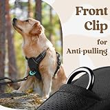 rabbitgoo Dog Harness Small Adjustable No Pull Reflective Front Back Clips view 7