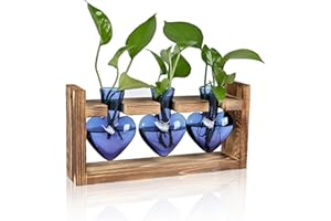 RCXSIGNS Plant Terrarium Unique Birthday Gift for Women Propagation Stations Home Office Decor Heart Shaped Glass Vase with Wooden Stand
