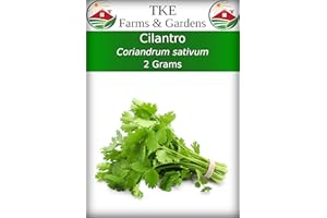 TKE Farms & Gardens - Cilantro Seeds for Planting, 150+ Non-GMO Heirloom Coriander Seeds, Slow Bolt for Long Harvest, Indoor or Outdoor Herb Garden, Easy Growing Instructions Included