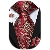 Hi-Tie Silk Paisley Ties for Men Necktie Pocket Square Cufflinks Set Foral Tie Sets Formal Business