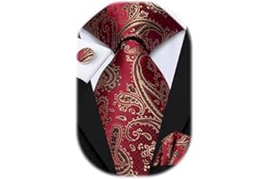 Hi-Tie Silk Paisley Ties for Men Necktie Pocket Square Cufflinks Set Foral Tie Sets Formal Business