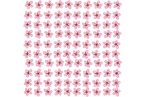 YUNZHI Pressed Flower for Resin Small Plum Blossom Narcissus, Dried Flower, Real Flower, Nail Flower Material, Glue Drop, Mobile Phone case, Hand Made 100pcs/pack (Light Pink)