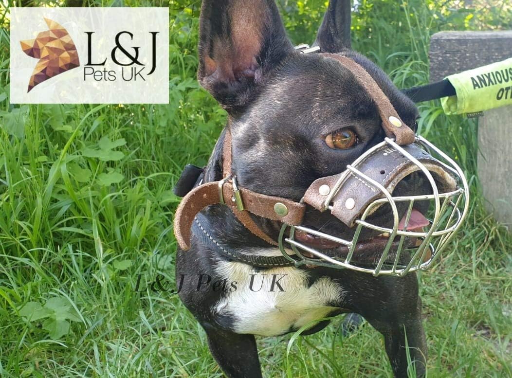 best muzzle for french bulldog