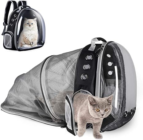 Yudoxn Sac A Dos Chat Chien Sac Transport Chat Chien Sac A Dos Transparent Pour Chat Et Chien Animal De Compagnie Sac A Bulles Extensible Portable Pour Voiture Shopping Plein Ai Amazon Fr Animalerie