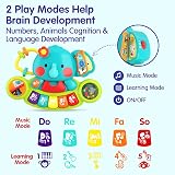 HOLA Baby Toys 3-in-1 Musical Elephant Piano Learning Toy 6-18 Months view 3