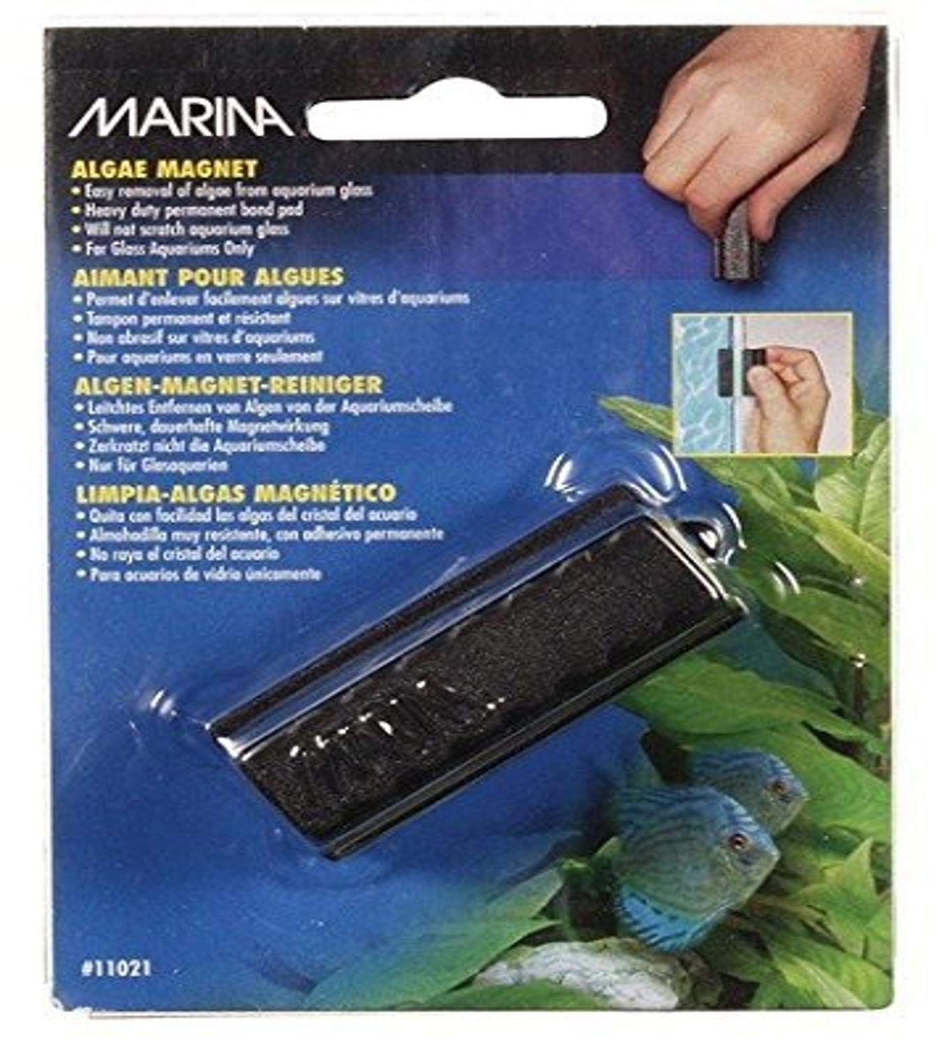Marina Algae Magnet, Small, Black