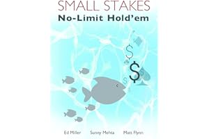 Small Stakes No-Limit Hold'em