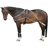 Advanced European Training System | Advanced Training Tool | Enhances Horse Carriage and Headset | Encourages Forward Movement | Strengthens Key Muscles | Not for Beginners