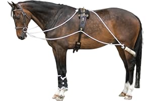 SCHNEIDERS Advanced European Training System | Advanced Training Tool | Enhances Horse Carriage and Headset | Encourages Forward Movement | Strengthens Key Muscles | Not for Beginners