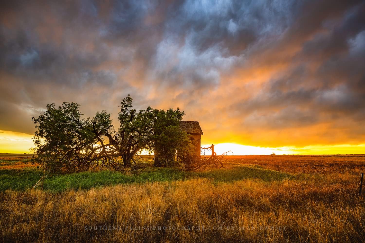 Photographs - Country Photography Print (Not Framed) Picture of Old Barn and Tree Under Stormy Sky at Sunset in Oklahoma Prairie Wall Art Farmhouse Decor 4x6 to 30x45