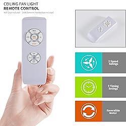 SYXLCYGJ Caged Ceiling Fans with Lights Remote