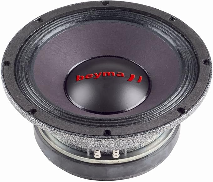 8 ohm 200 watt speaker