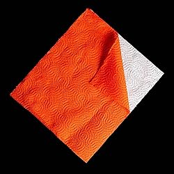 Renova Red Paper Towel Pack - 1 Roll - 120 Sheets