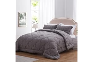 NexHome Lightweight Comforter Queen Size, Soft Down Alternative Solid Comforter, Thin Microfiber Reversible Cloud Pattern Bedding Comforter for All Seasons (Queen, Dark Grey)
