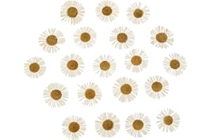 PATIKIL Dried Pressed Flower, 60 Pcs for Resin DIY Crafts Nail Art Cards Scrapbooking Jewelry Making Floral Decor Candle Deco