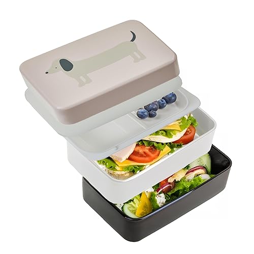 Premier Housewares Durable Dog Lunch Box With Cutlery| Stylish Multi Compartments Bento Box For Travelling | Portable Lunch Box With Two Compartments For Kids School, Offices