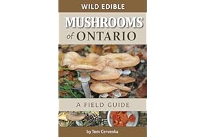 Wild Edible Mushrooms of Ontario: A Field Guide