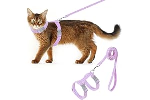 HEQXWL Cat Harness, Safety Leash Set for outings and Travelling to Prevent Cats from Escaping - Adjustable Kitten Safety Leash, Soft and Comfortable for Small and Medium Sized Cats (Pink, M)