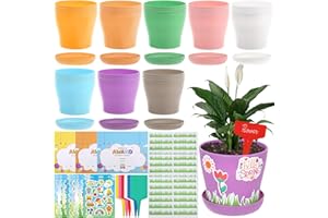 Wenceda 30 Pack Garden Pot Craft Kit, DIY Spring Pot Plastic Planter with Tray, Include Plant Tag/Certificate of Award/Spring